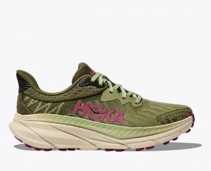 HOKA Challenger 7 Women's Trail Running Shoes Olive Green | 84162VBYC