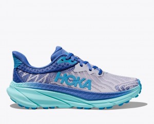 HOKA Challenger 7 Women's Trail Running Shoes Blue / Grey | 67310MPNK