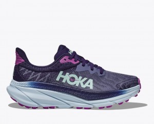 HOKA Challenger 7 Women's Trail Running Shoes Purple | 31978NKWQ