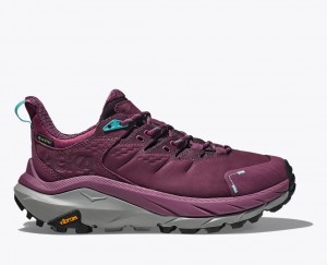 HOKA Kaha 2 Low GTX Women's Hiking Shoes Dark Red | 08679QMNT