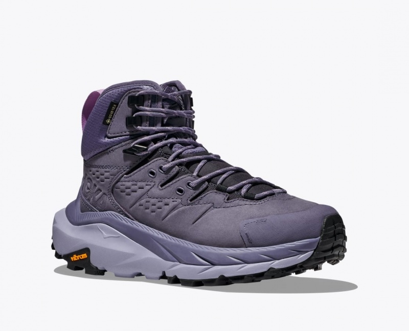 HOKA Kaha 2 GTX Women's Hiking Boots Purple | 54136HSJI