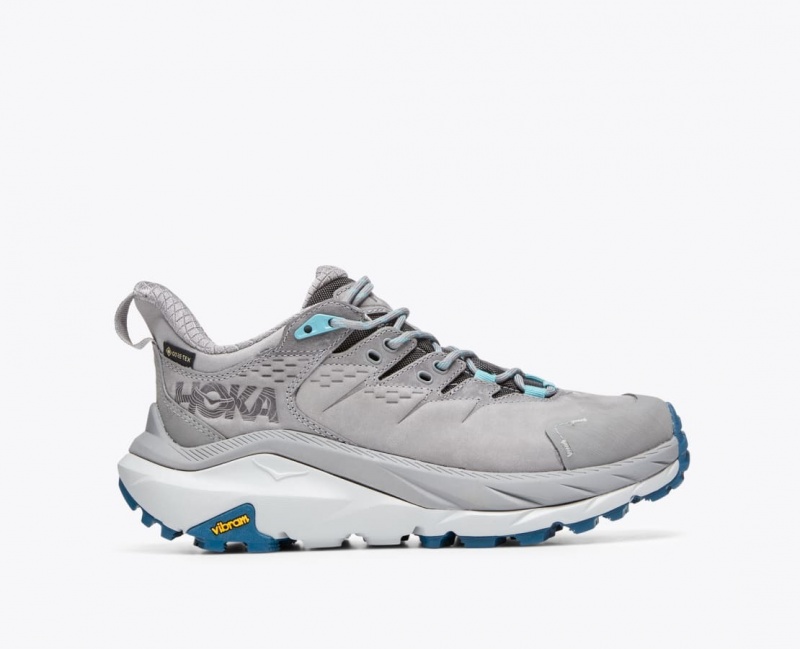 HOKA Kaha 2 Low GTX Women\'s Hiking Shoes Grey | 75312WNHF